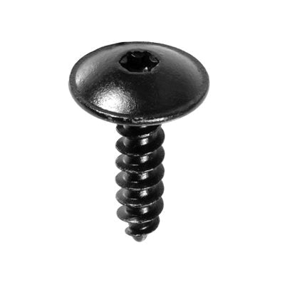 Au-ve-co® 21541 Tapping Screw, System of Measurement: Metric, M5.5 Thread, 20 mm L, Truss Head, Torx Drive, T20 Drive