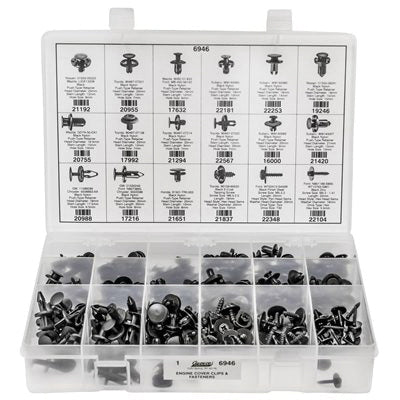 Au-ve-co® 6946 Engine Cover Clips and Fasteners Assortment, 250 -Piece