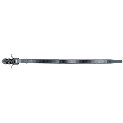Au-ve-co® 21203 Cable Tie, 30 mm Dia Bundle, 155 mm L, 5 mm W, Nylon